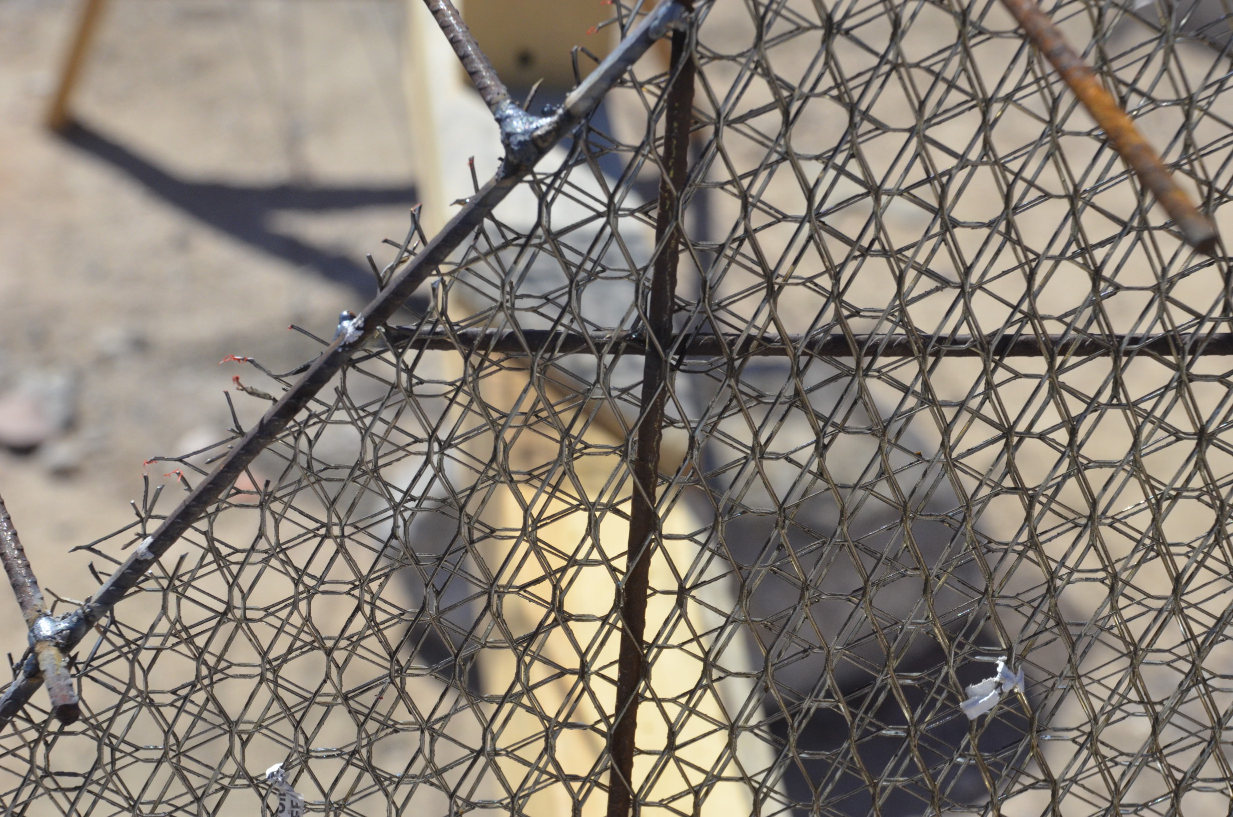 Closeup of the armature, same design as the shelves.  Note that the four layers of wire each go in a different direction, and that two of them are between the rebar.  That is my patentable ferro-cement armature design.  You are seeing something that has never existed before.